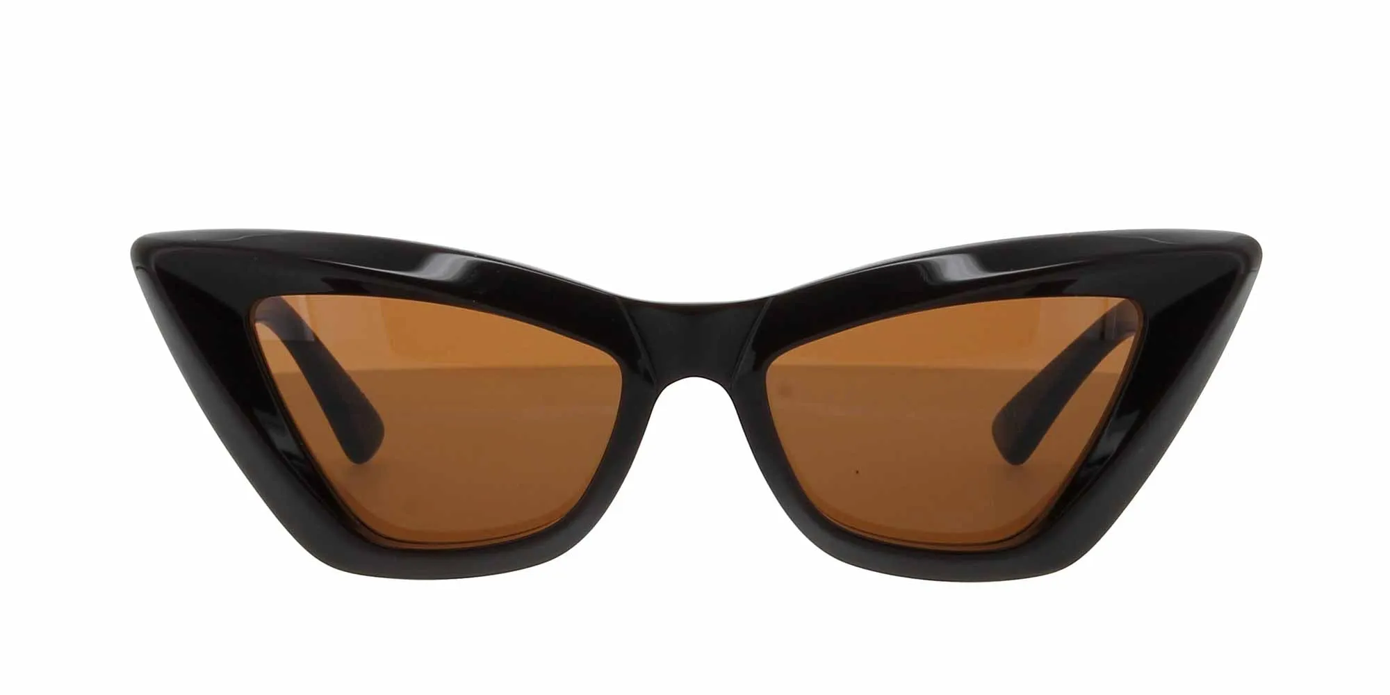 Bottega Veneta BV1101S