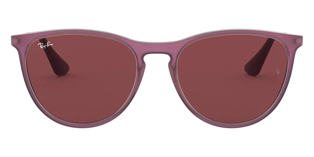 Ray-Ban® Junior Erika RJ9060Sf