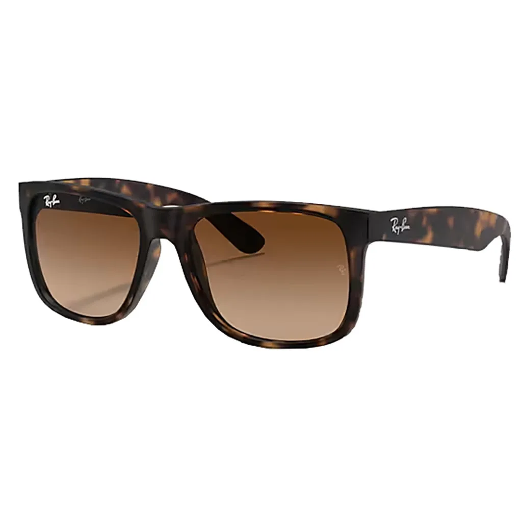 Ray-Ban Justin Sunglasses
