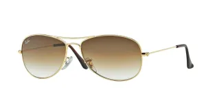 RAYBAN COCKPIT SUNGLASSES