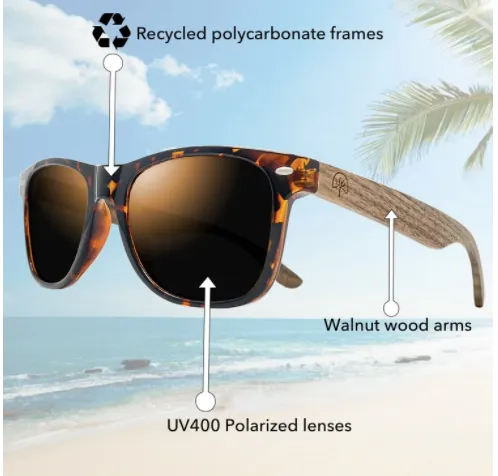 Wildwood Eyewear - Original 50/50