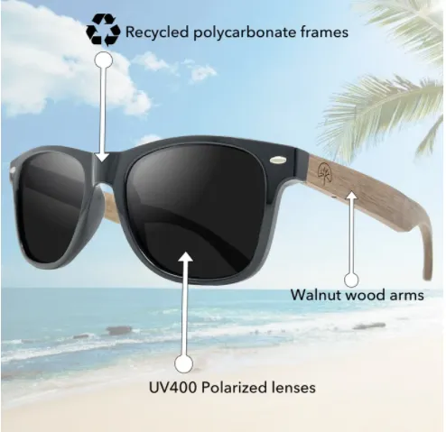 Wildwood Eyewear - Original 50/50